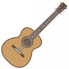 Gitar Öğreniyorum